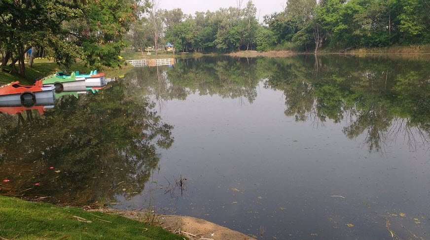 Liaqat Botanical Garden, Peshawar, Pakistan, Pakistan